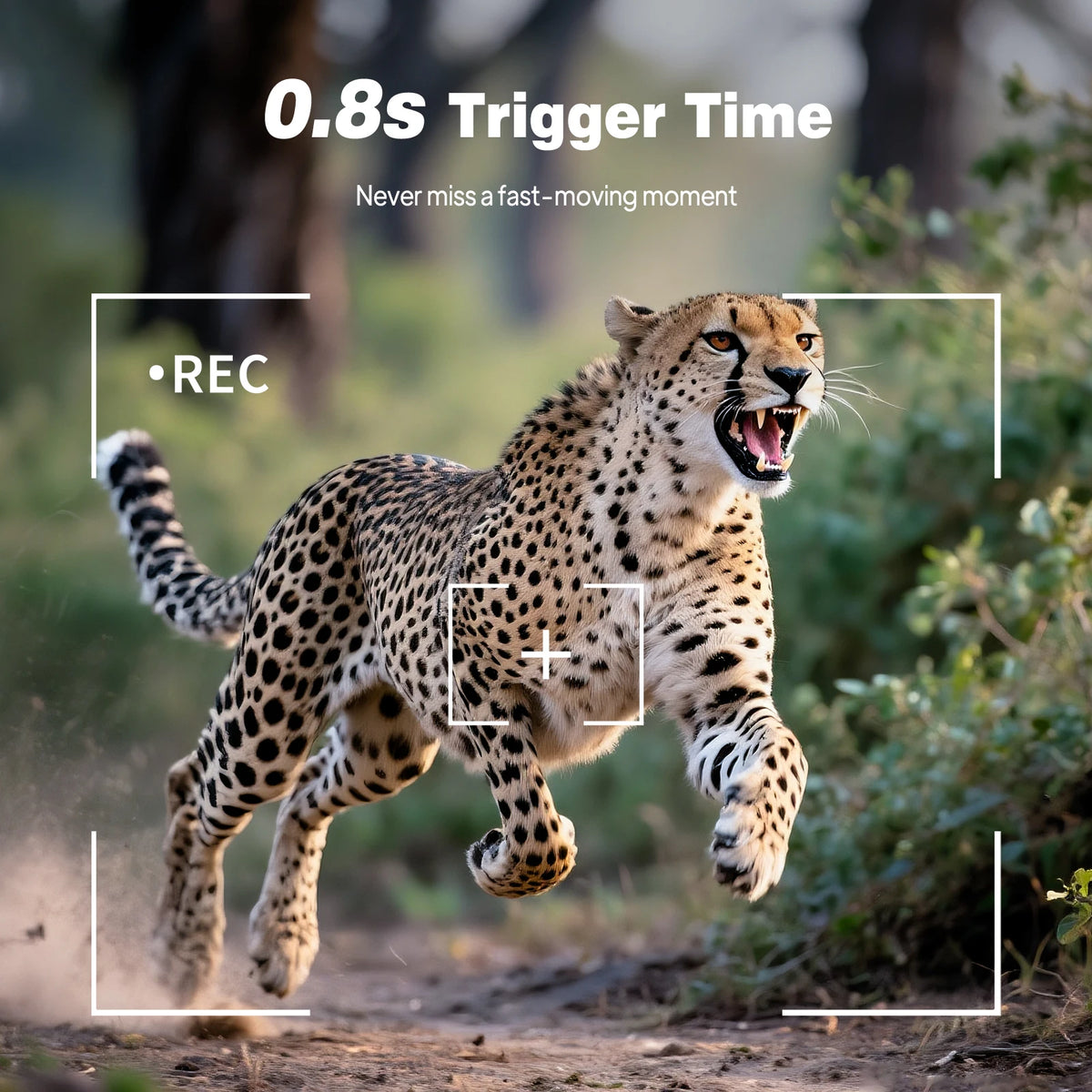 Video Trail Camera 2.4inch Night Vision Outdoor Motion Trail Camera 0.2s Motion Activated Waterproof Trap Cam Wild Surveillance