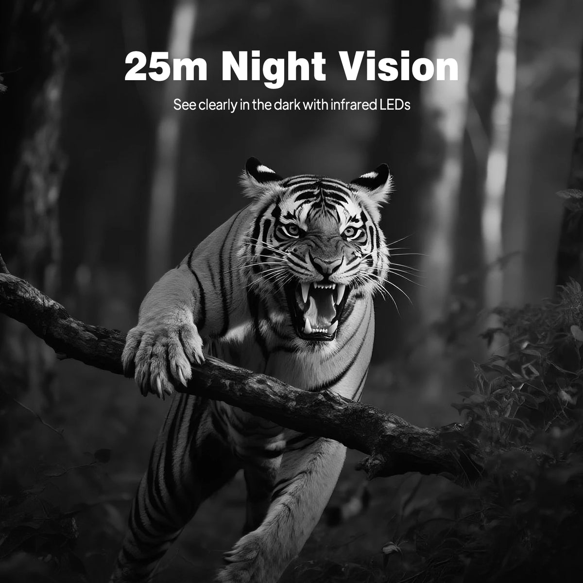 Caméra Piège Animalière 4K – Écran 2.4", Déclenchement 0.2s, IP66 Waterproof