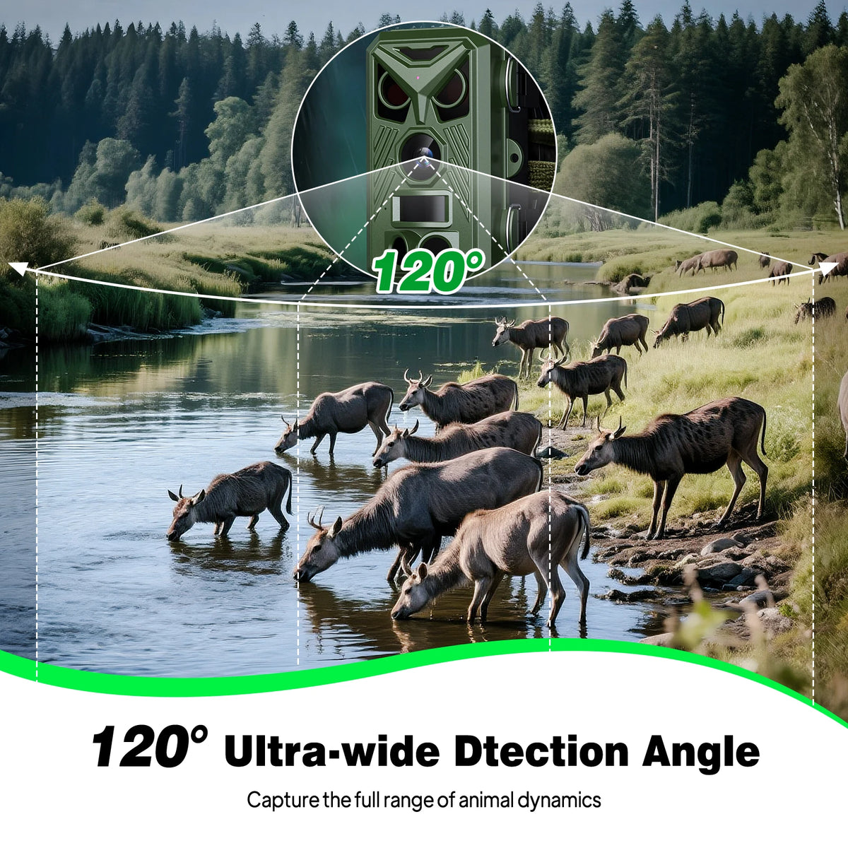 Caméra Piège Animalière 4K – Écran 2.4", Déclenchement 0.2s, IP66 Waterproof